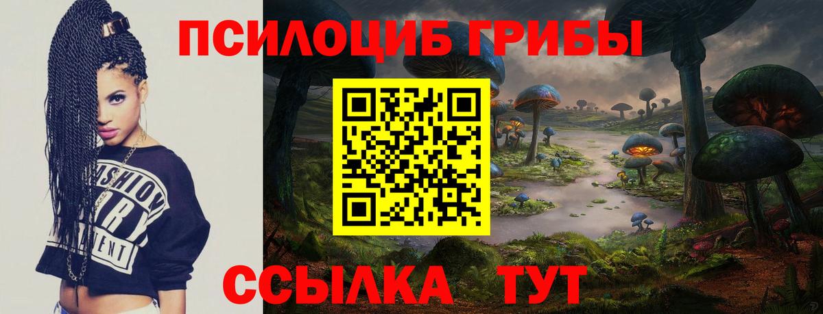 дарнет шоп  Псилоцибиновые грибы GOLDEN TEACHER  Вход с VPN  Чусовой 
