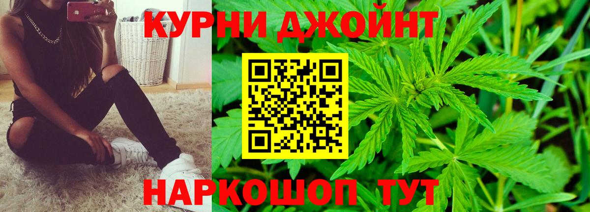 Конопля конопля Чусовой